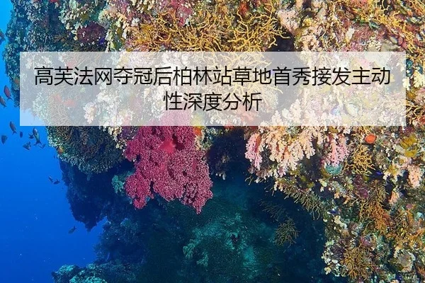 高芙法网夺冠后柏林站草地首秀接发主动性深度分析